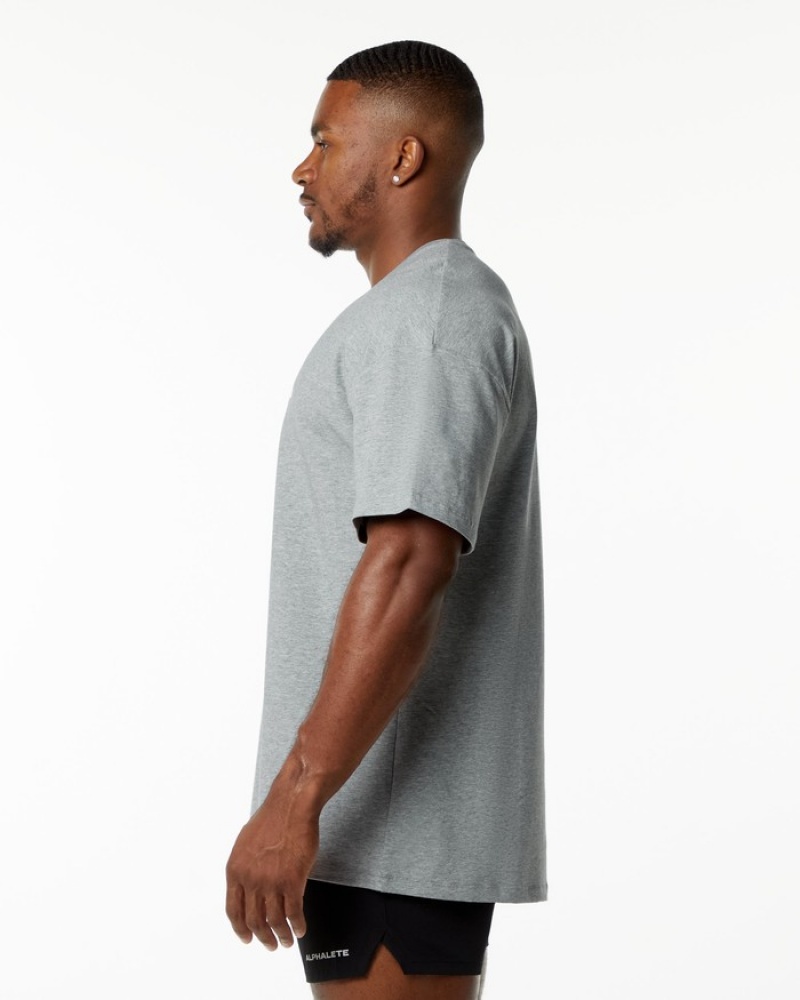 Alphalete Emblem Uomo Camicie Grigie | 86BORUCPX