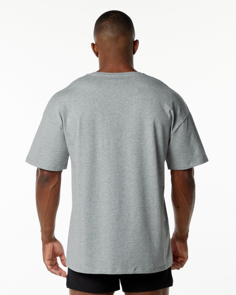 Alphalete Emblem Uomo Camicie Grigie | 86BORUCPX