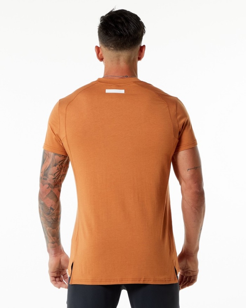 Alphalete Evo Uomo Camicie Marroni | 57UCZAQRX