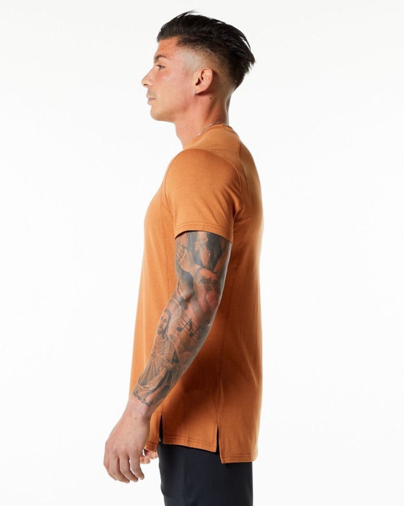 Alphalete Evo Uomo Camicie Marroni | 57UCZAQRX