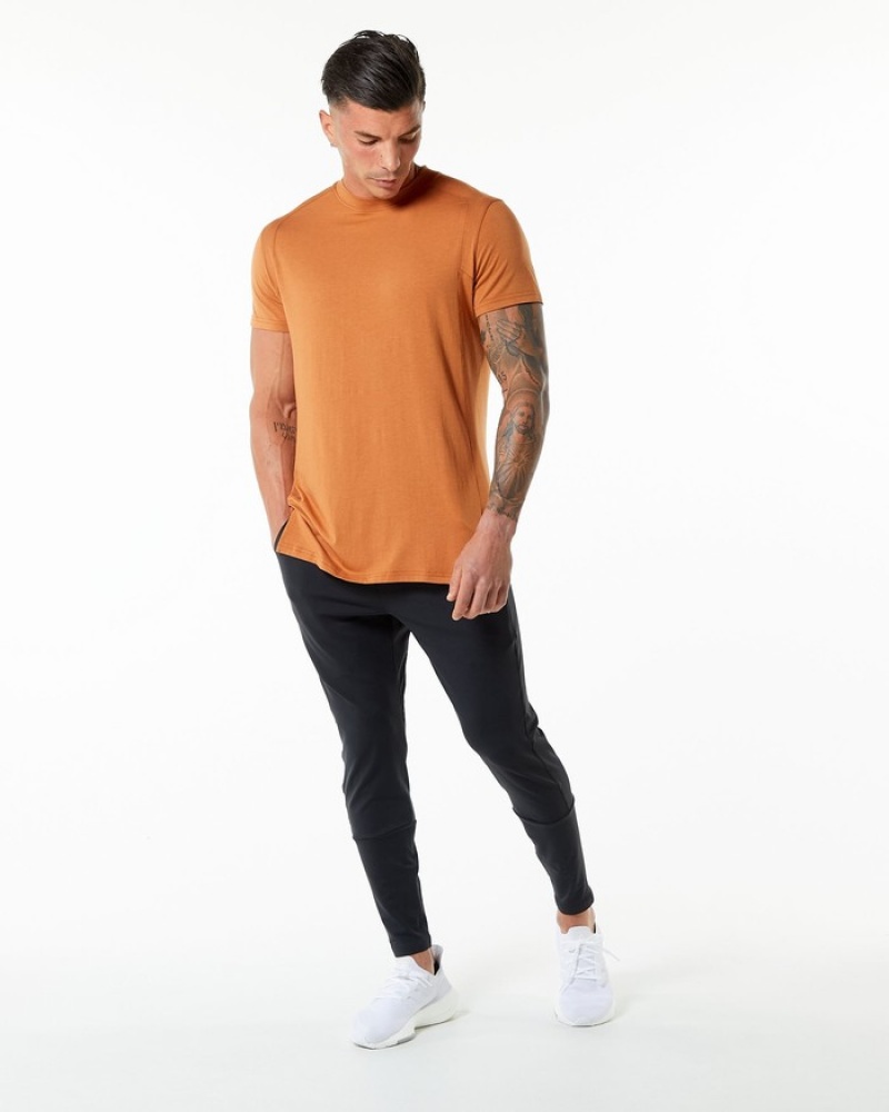 Alphalete Evo Uomo Camicie Marroni | 57UCZAQRX
