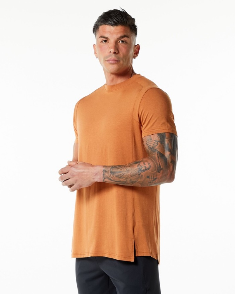 Alphalete Evo Uomo Camicie Marroni | 57UCZAQRX