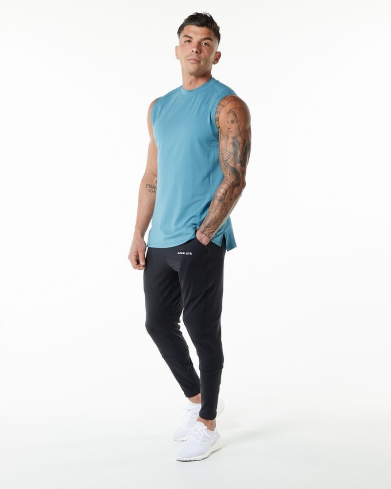 Alphalete Evo Uomo Canotta Blu | 56DGHQVXR