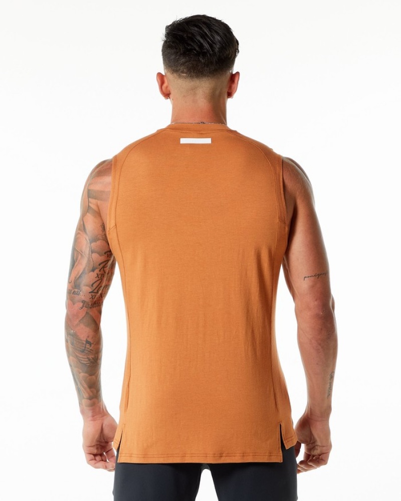Alphalete Evo Uomo Canotta Marroni | 74VHSWJUQ