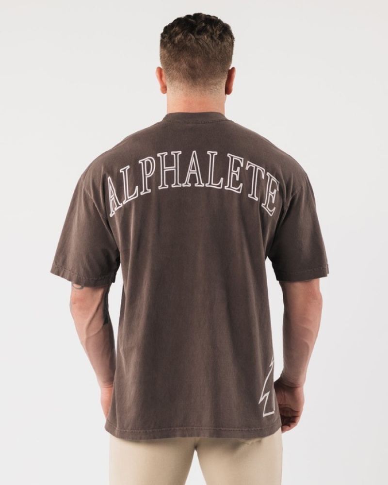 Alphalete Giant Wolf Head Donna Camicie Grigie | 48DLYAJMQ