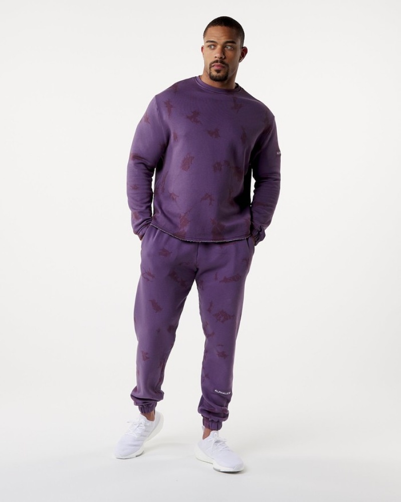 Alphalete HCTS Drop Shoulder Uomo Felpa Viola | 54ATBNWVS