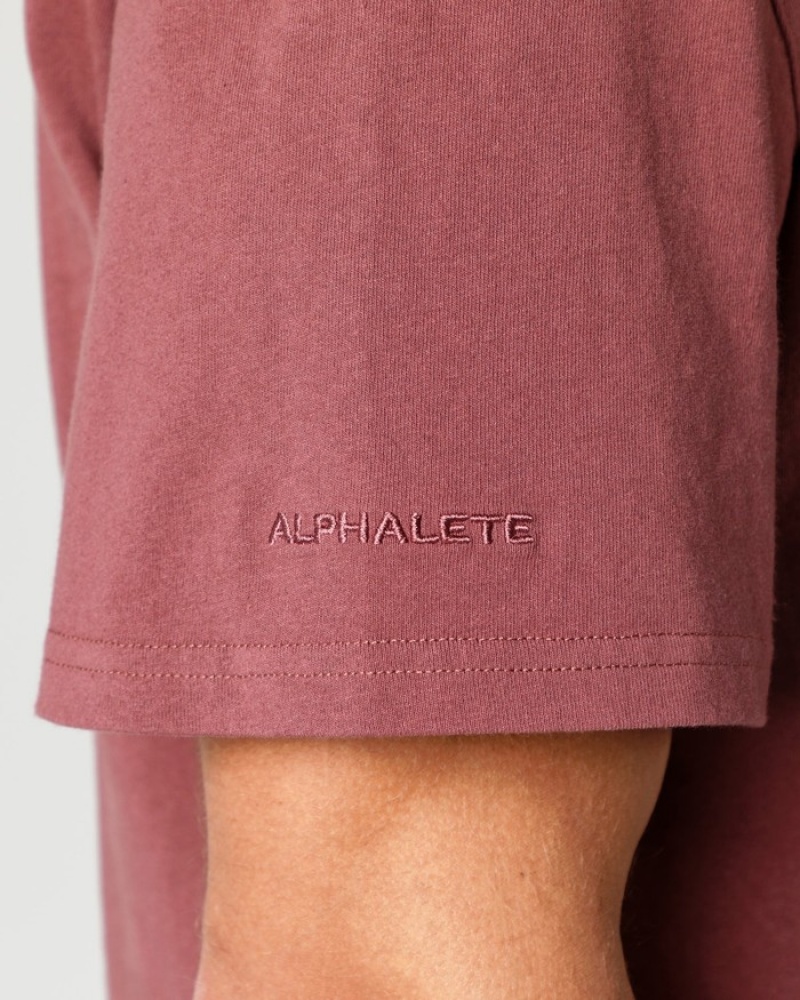 Alphalete Heavy Cotone Core Uomo Camicie Rosa | 60NTOVSUH