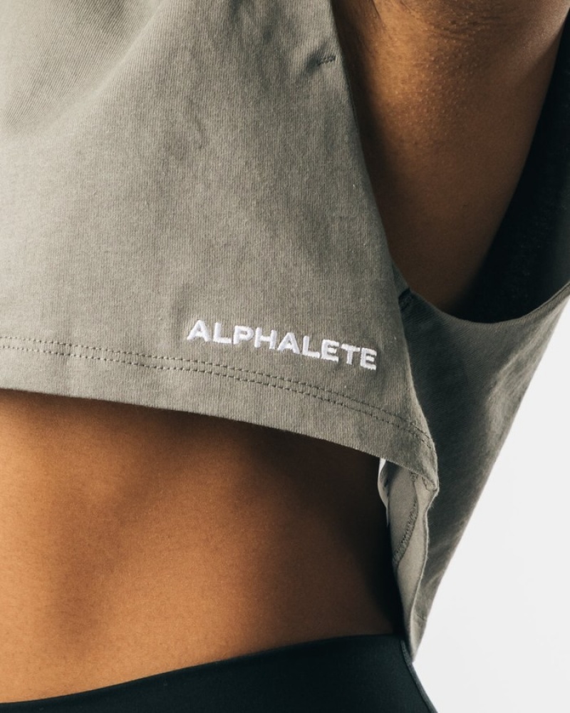 Alphalete Heavy Cotone Cropped Cutoff Donna Canotta Grigie | 43EBGZASF