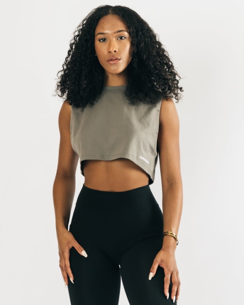 Alphalete Heavy Cotone Cropped Cutoff Donna Canotta Grigie | 43EBGZASF