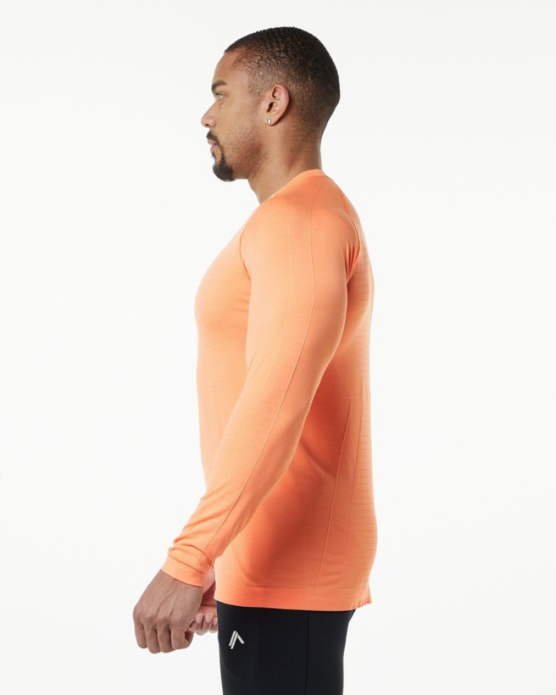 Alphalete Hero Long Sleeve Uomo Camicie Arancioni | 48ALDMHFZ