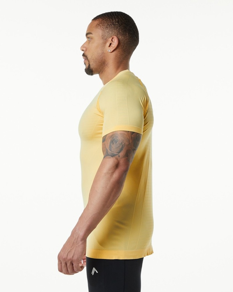 Alphalete Hero Uomo Camicie Arancioni | 85EZITRAL