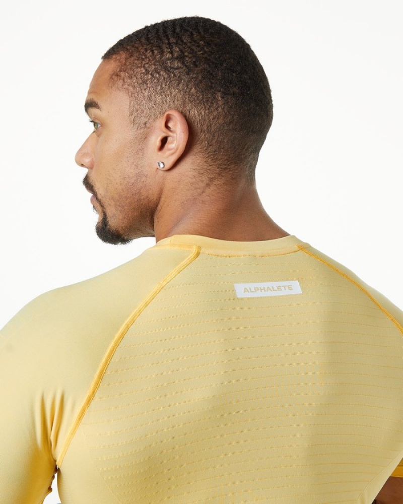Alphalete Hero Uomo Camicie Arancioni | 85EZITRAL