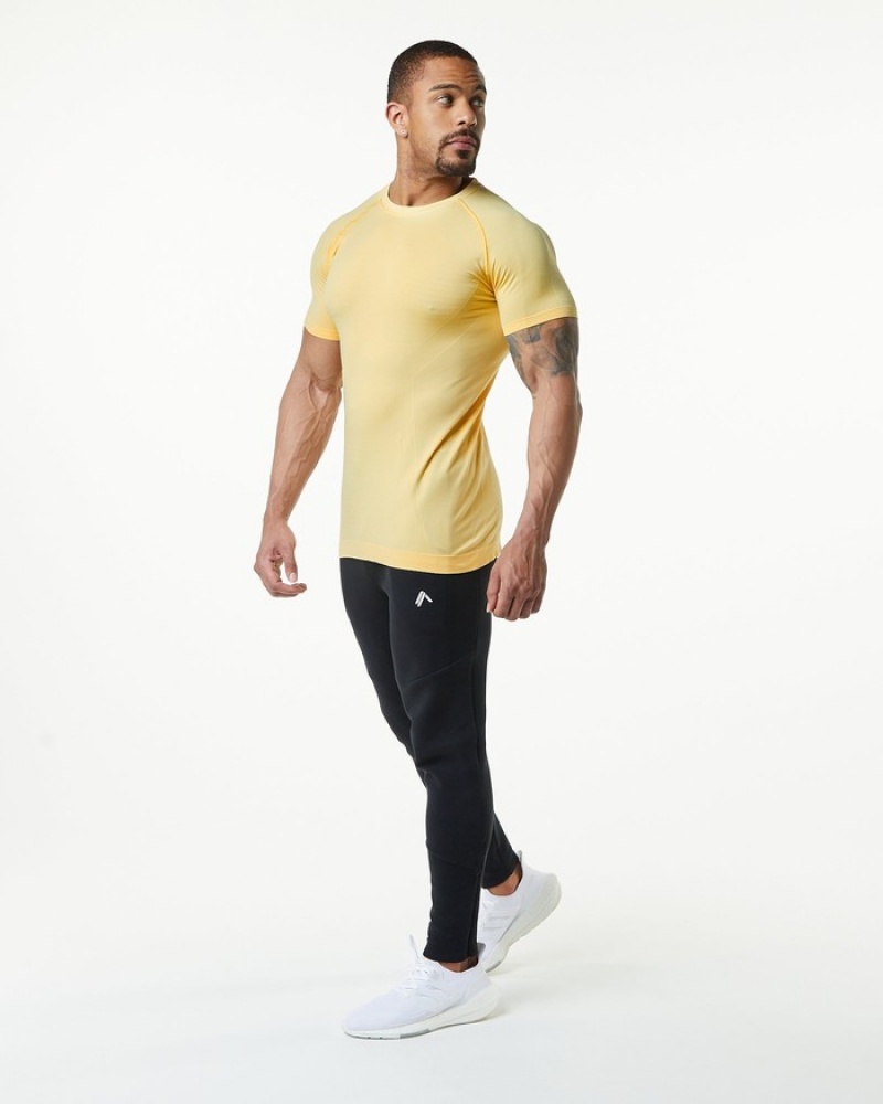 Alphalete Hero Uomo Camicie Arancioni | 85EZITRAL