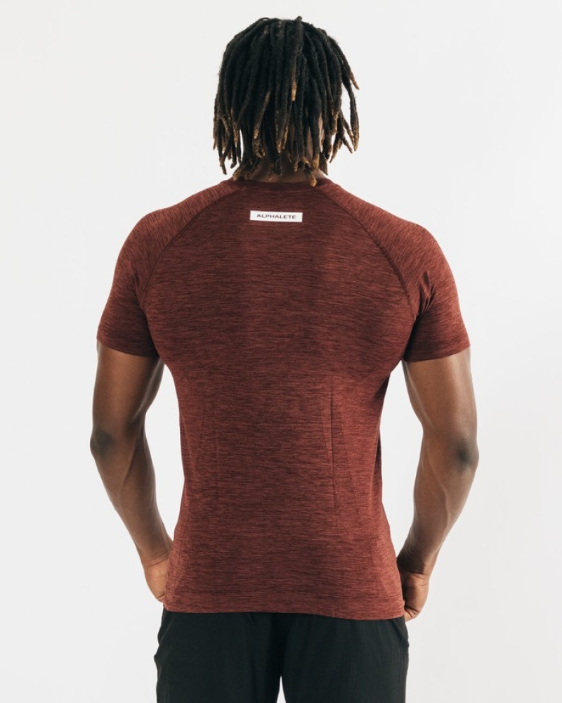 Alphalete Hero Uomo Camicie Rame | 42BWHEZRP