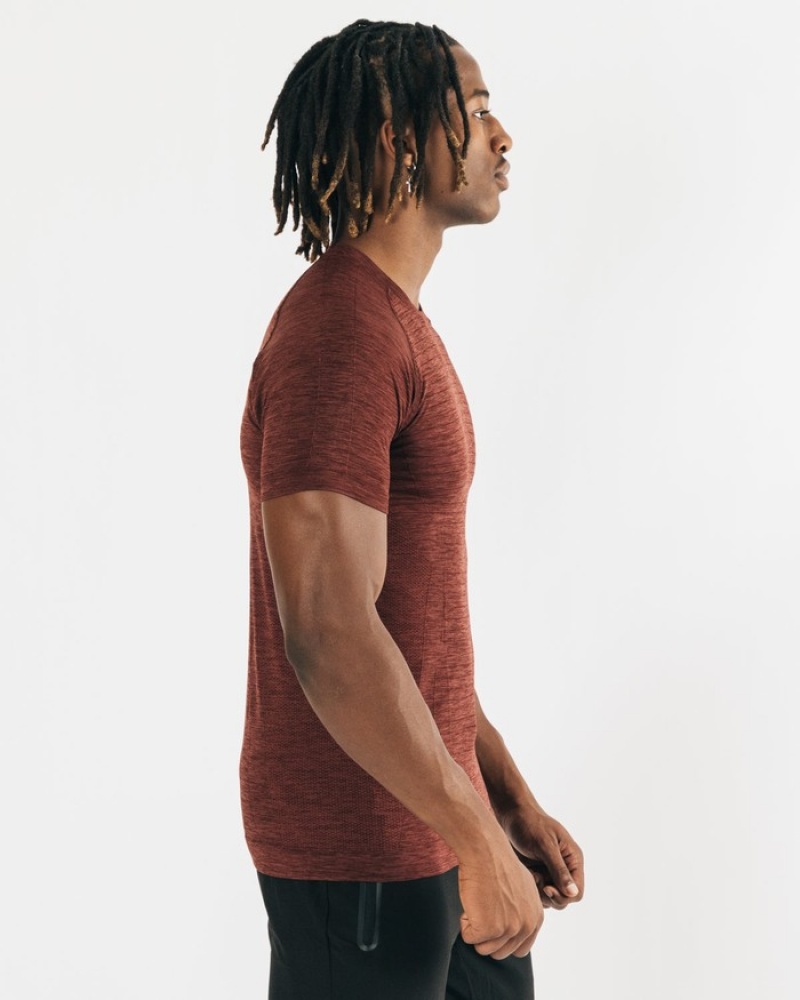 Alphalete Hero Uomo Camicie Rame | 42BWHEZRP