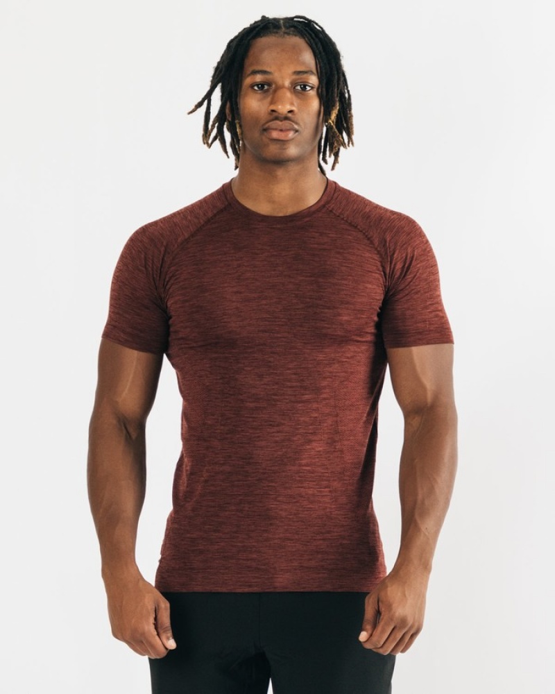 Alphalete Hero Uomo Camicie Rame | 42BWHEZRP
