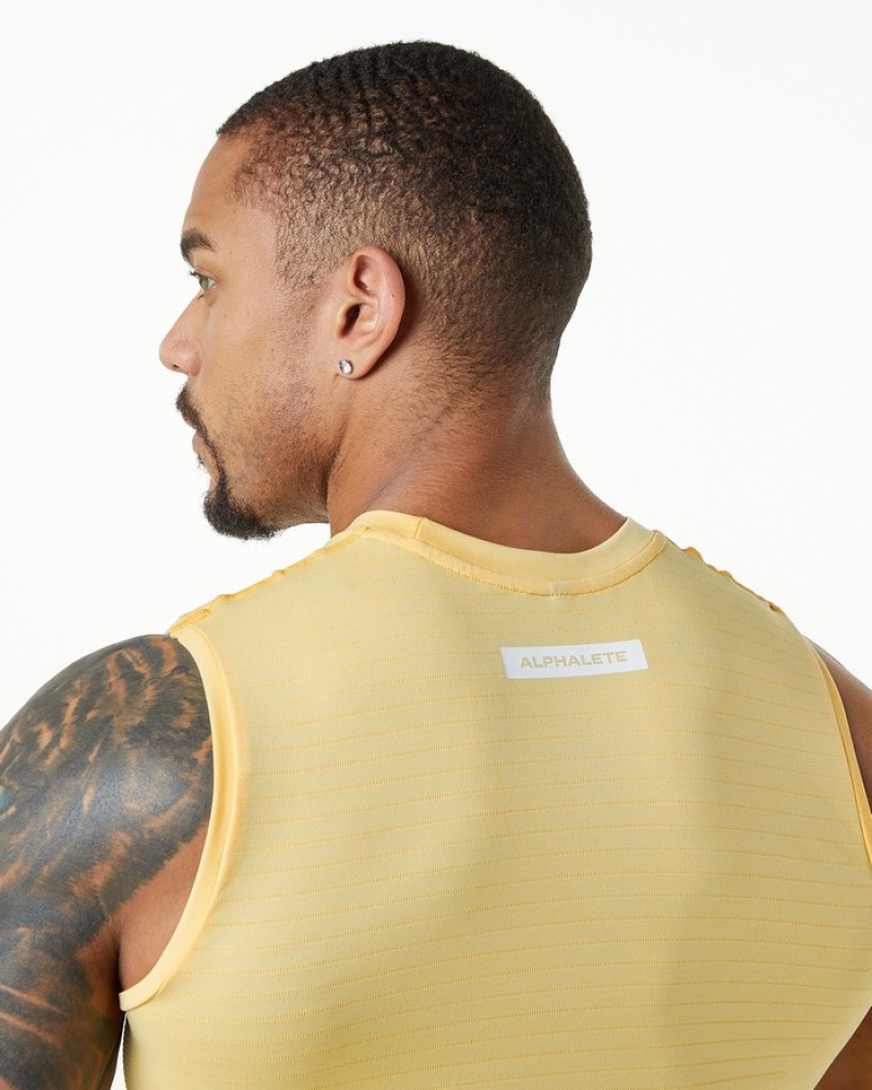 Alphalete Hero Uomo Canotta Arancioni | 53HTYQMVL