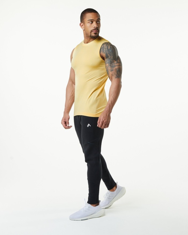 Alphalete Hero Uomo Canotta Arancioni | 53HTYQMVL