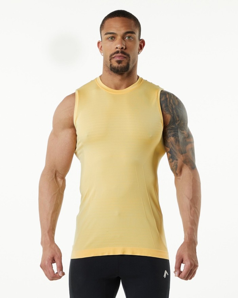 Alphalete Hero Uomo Canotta Arancioni | 53HTYQMVL