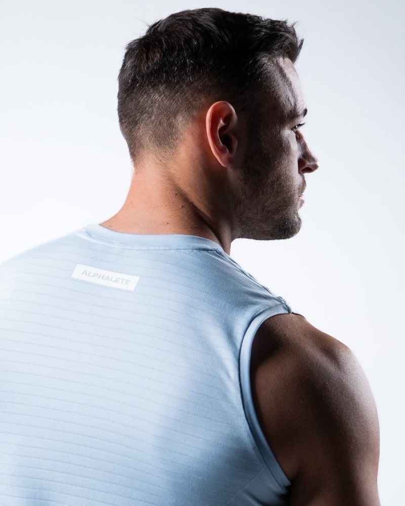 Alphalete Hero Uomo Canotta Blu | 02AZMCPFS