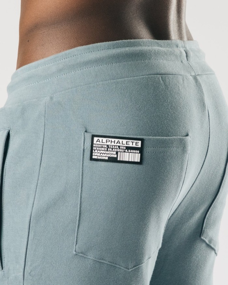 Alphalete Identity Uomo Pantaloni Jogger Blu | 94DYFKTCM