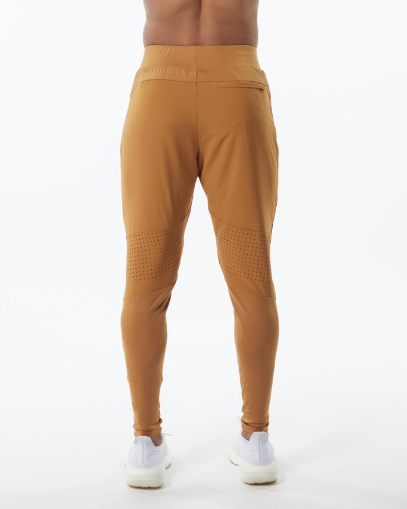 Alphalete Infinity Tech Uomo Pantaloni Jogger Marroni | 72NHJYRBC