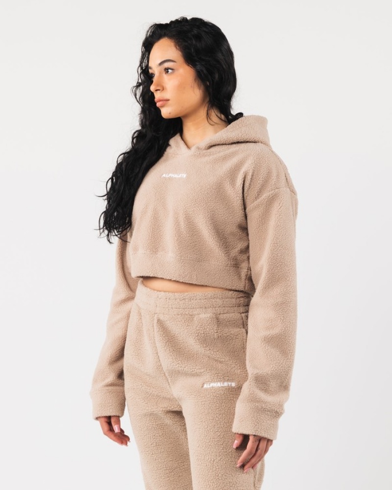 Alphalete King Crop Donna Felpa Con Cappuccio Beige | 60FTWMYCL