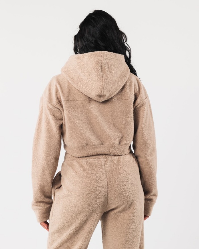 Alphalete King Crop Donna Felpa Con Cappuccio Beige | 60FTWMYCL