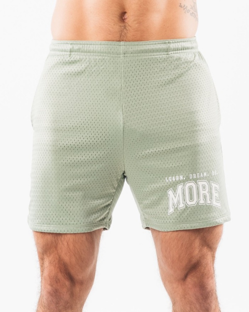 Alphalete LDB More Mesh 6\