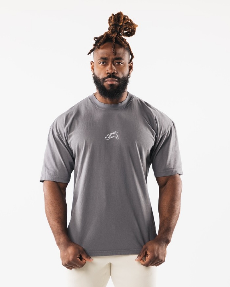 Alphalete LDB Outline Donna Camicie Grigie | 96UKQCFYO