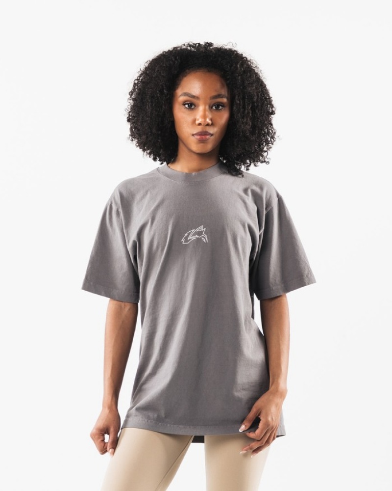 Alphalete LDB Outline Uomo Camicie Grigie | 08LSTCPWH