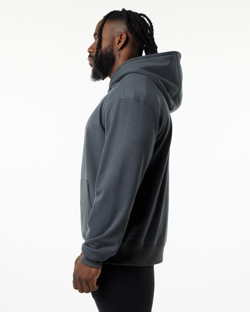 Alphalete Monarch Uomo Felpa Con Cappuccio Grigie Scuro | 71MBUINFV