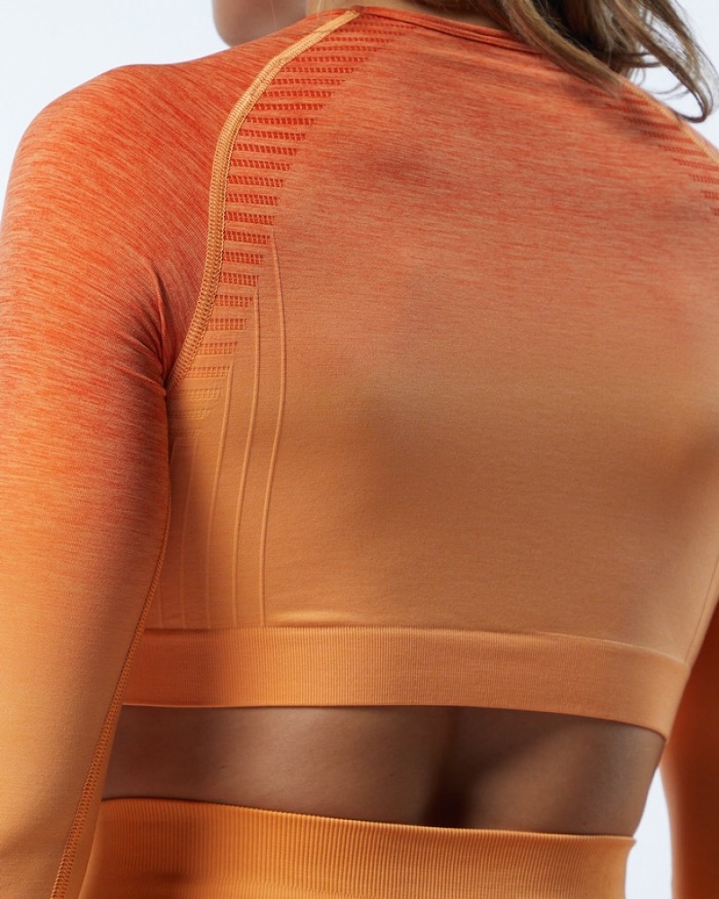 Alphalete Ombre Amplify LS Crop Donna Magliette Arancioni | 65AXOZWTU