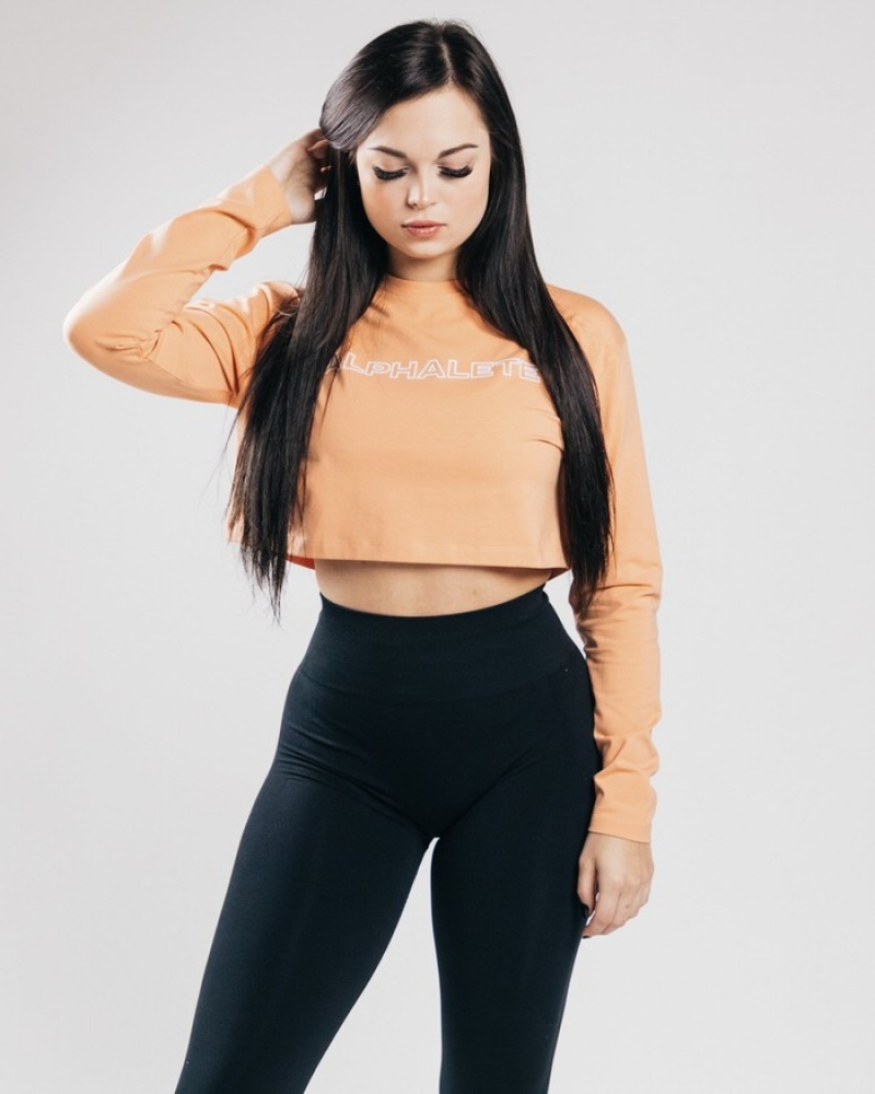 Alphalete Outlined Long Sleeve Crop Donna Magliette Arancioni | 61XACEDIM