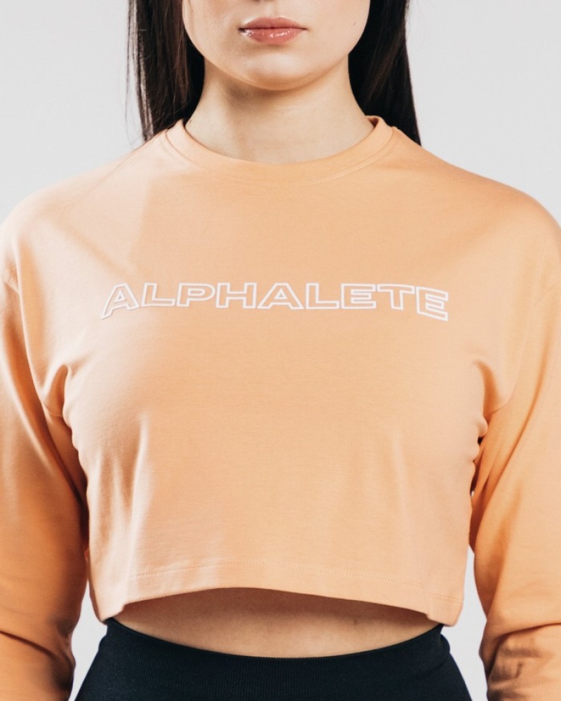 Alphalete Outlined Long Sleeve Crop Donna Magliette Arancioni | 61XACEDIM