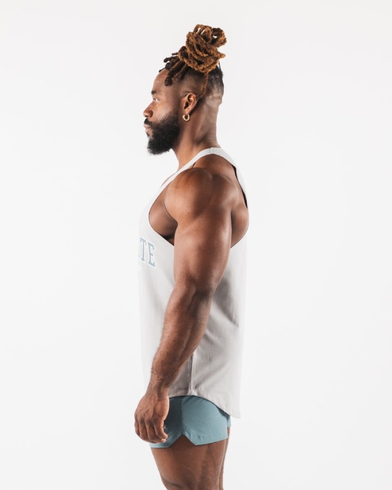 Alphalete Paisley Print Raw Cut Uomo Canotta Grigie | 89OFVIMNK