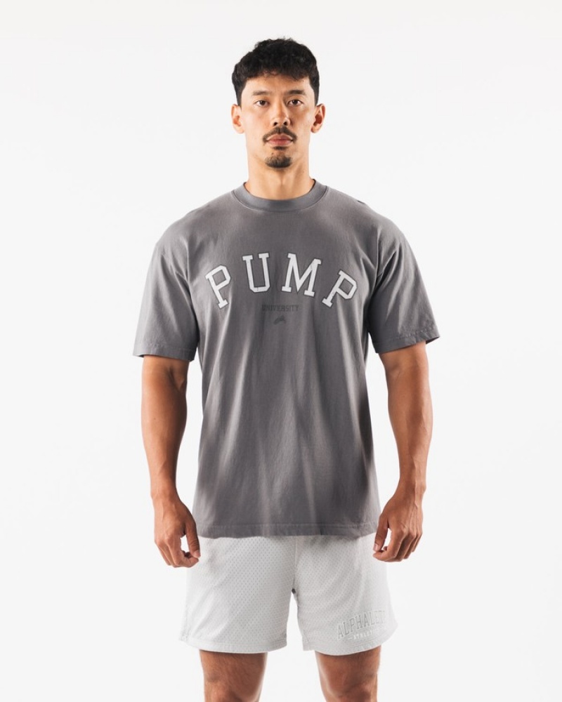 Alphalete Pump University Donna Camicie Grigie | 21OZMPHIG