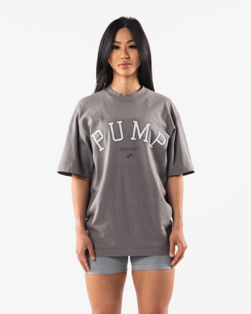 Alphalete Pump University Donna Camicie Grigie | 21OZMPHIG