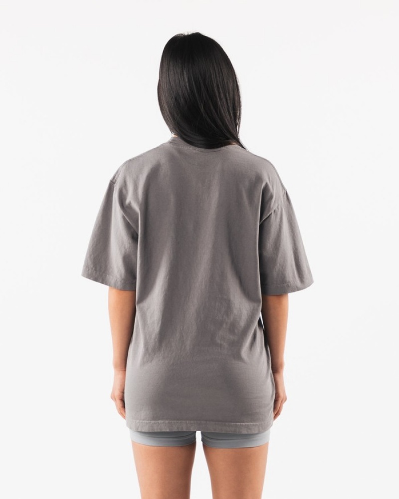 Alphalete Pump University Donna Camicie Grigie | 21OZMPHIG