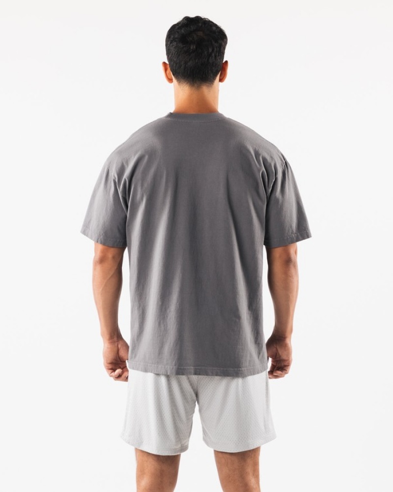 Alphalete Pump University Uomo Camicie Grigie | 51DVSFQWM