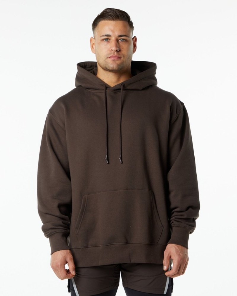 Alphalete Unity Uomo Felpa Con Cappuccio Marroni | 18WFYSOLC