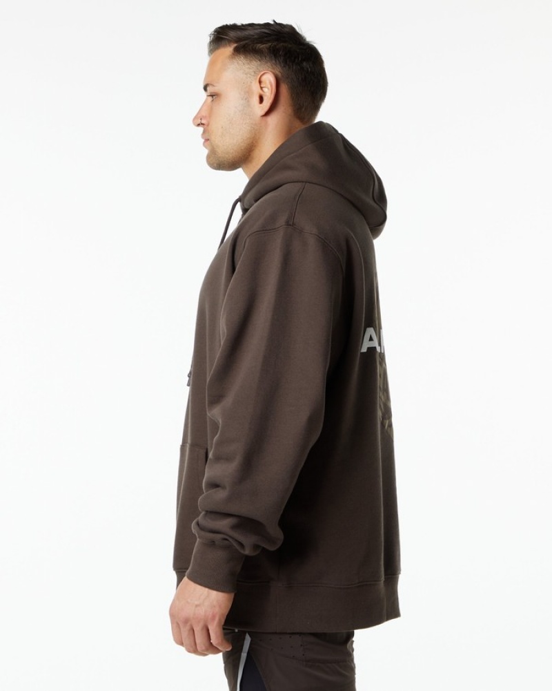 Alphalete Unity Uomo Felpa Con Cappuccio Marroni | 18WFYSOLC