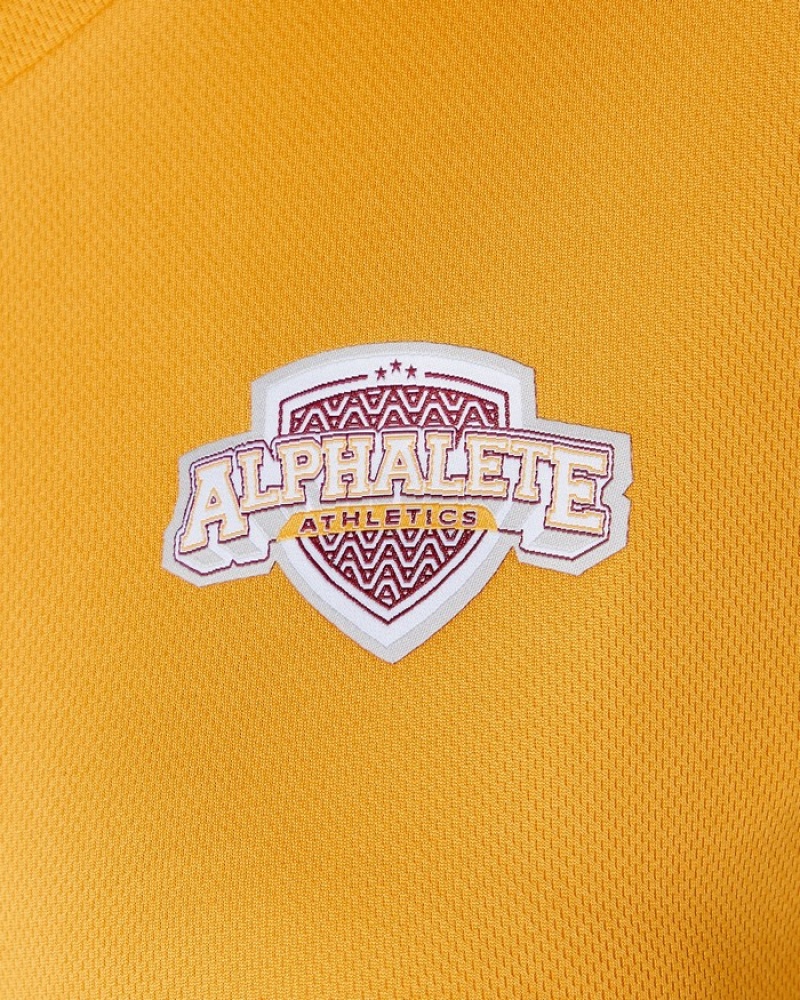 Alphalete Varsity Crop Donna Camicie Arancioni | 17RDXKOPF