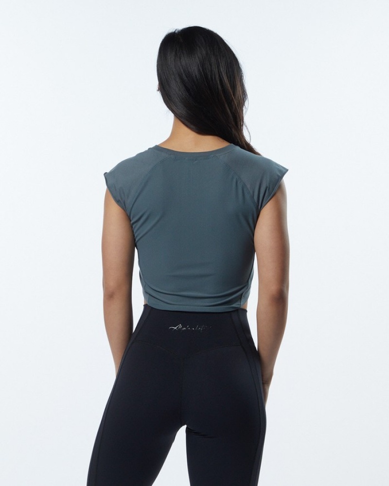 Alphalete Velocity Crop Donna Camicie Grigie | 20SBAPFRW