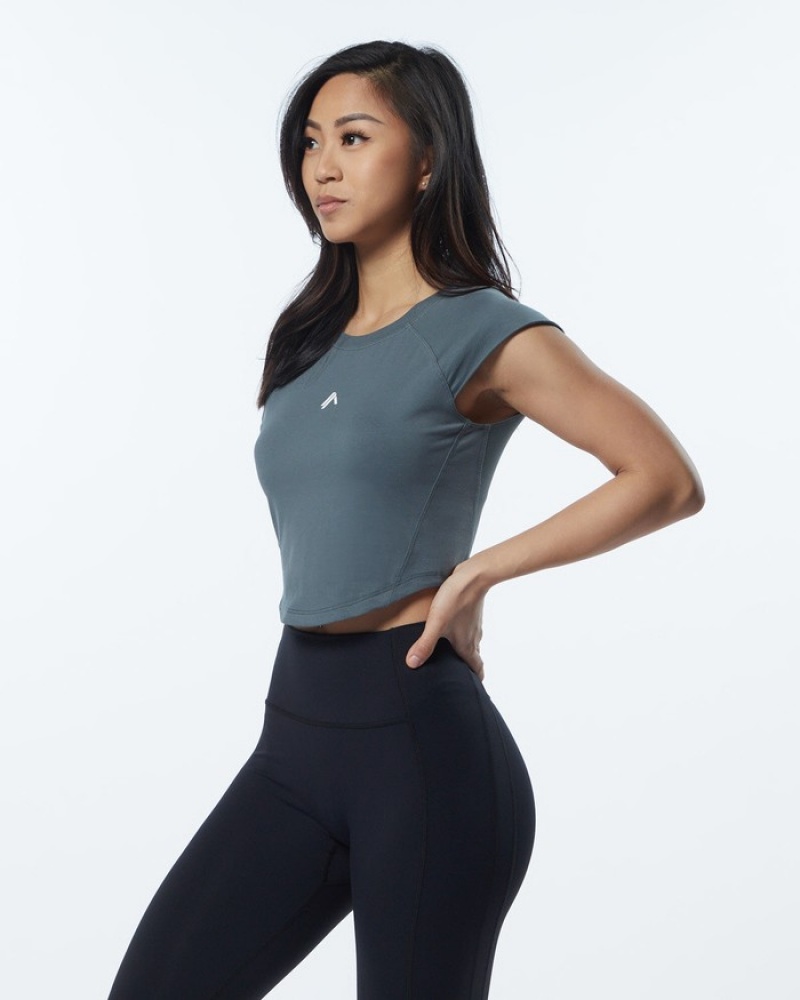 Alphalete Velocity Crop Donna Camicie Grigie | 20SBAPFRW