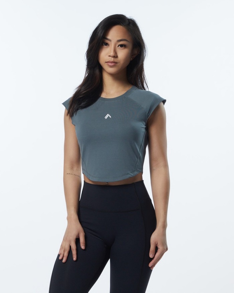 Alphalete Velocity Crop Donna Camicie Grigie | 20SBAPFRW