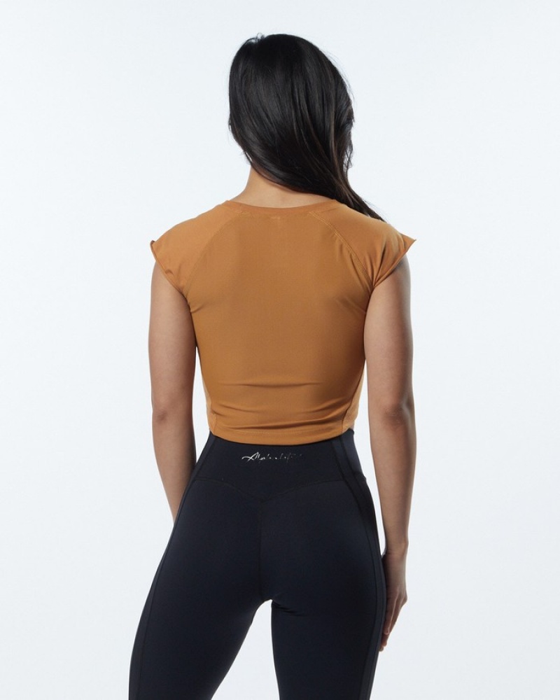 Alphalete Velocity Crop Donna Camicie Marroni | 41YWLQAOI