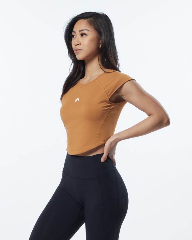 Alphalete Velocity Crop Donna Camicie Marroni | 41YWLQAOI