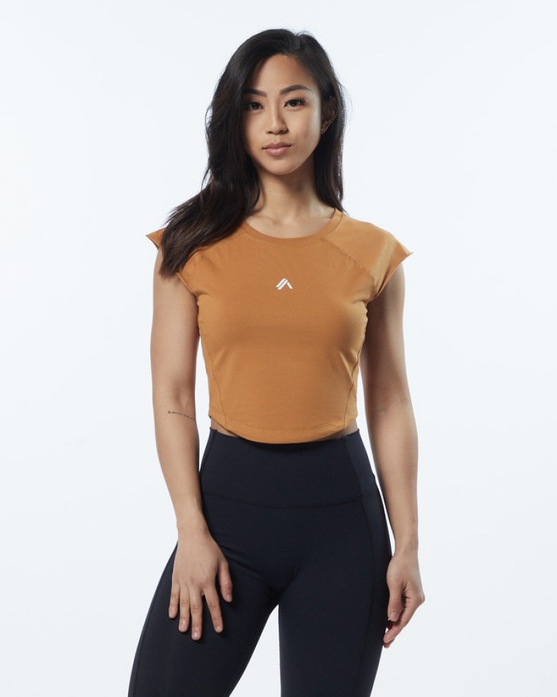 Alphalete Velocity Crop Donna Camicie Marroni | 41YWLQAOI
