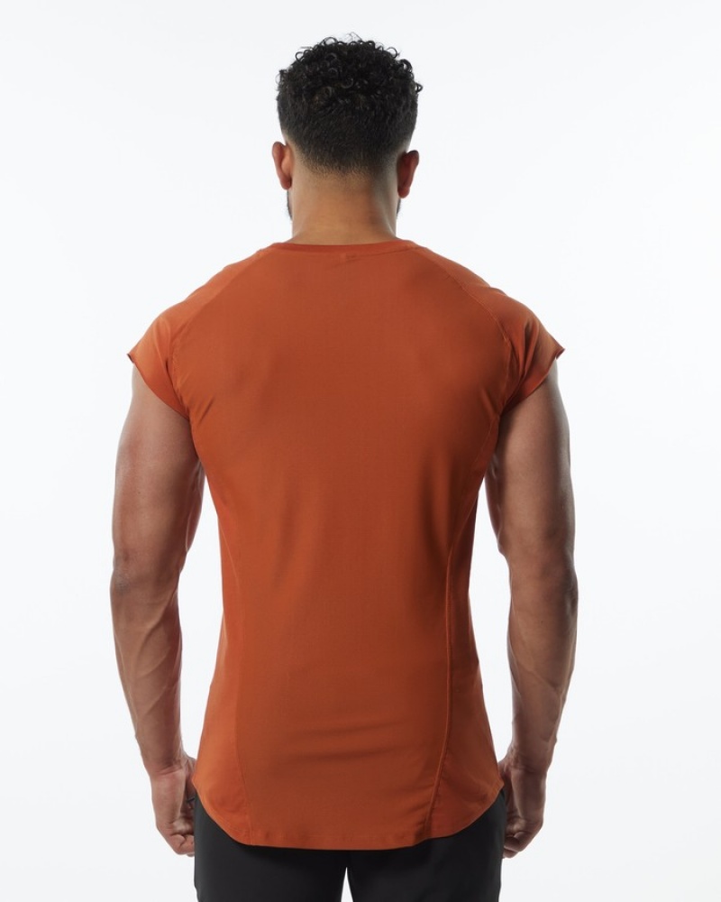 Alphalete Velocity Senza Maniche Uomo Canotta Arancioni | 26AVDMPLB